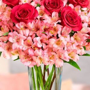 Meet your Posher, Elisa